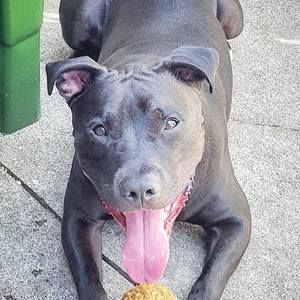 Meet your Posher, G.